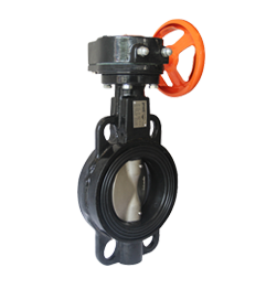 V107 SERISI PN25 BASINÇ SINIFI VANALAR